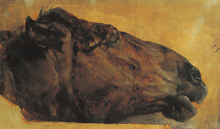  Adolpyh Von Menzel —— 马头部的侧面